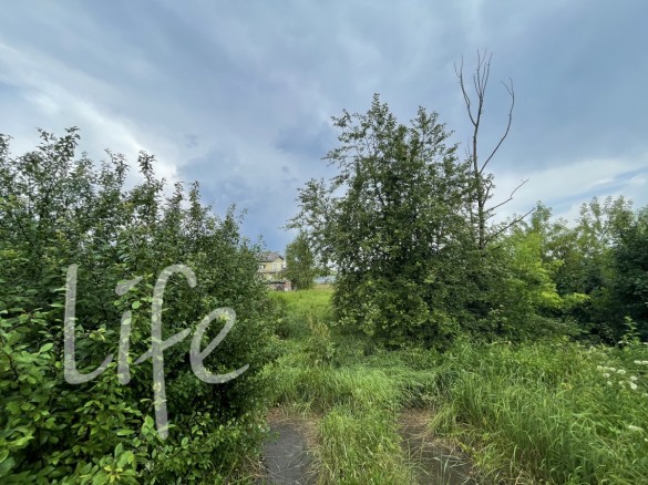 Продажа участка Грибаново 17 соток Ильинское шоссе - foto1