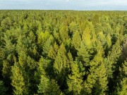 Продажа участка Маслово 18 соток Рублево-Успенское шоссе - 640152