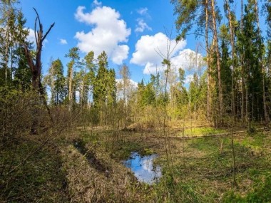 Продажа участка Сосновый бор (Николина Гора) 82 сотки Рублево-Успенское шоссе - Николино - 57489
