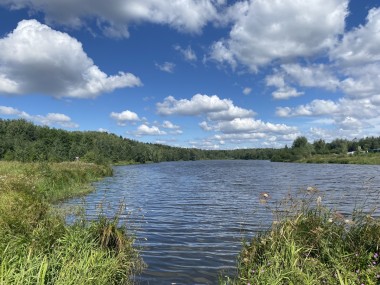 Продажа участков Конаковское - Коростово - 57669