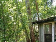 Продажа участка Николина Гора 15 соток Рублево-Успенское шоссе - foto3