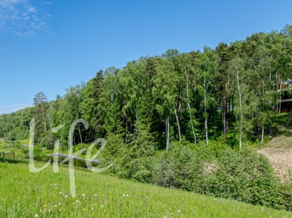 Продажа участка Березки 31 сотка Рублево-Успенское шоссе - 623138