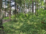 Продажа участка Новогорск 20 соток Куркинское шоссе - foto3