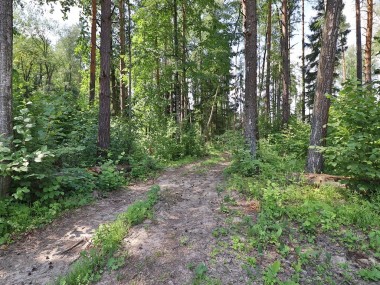 Продажа участков Конаковское - Новогорск - 57939