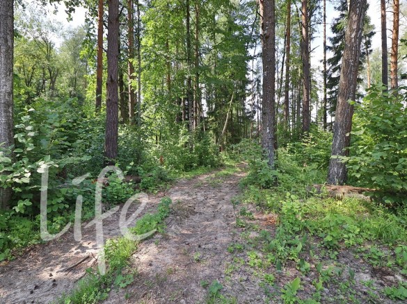 Продажа участка Новогорск 20 соток Куркинское шоссе - foto1