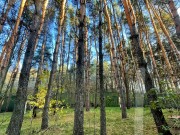 Продажа участка Лобаново 1260 соток Новорижское шоссе - foto8