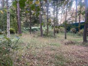 Продажа участка Новь ДПК 10 соток Рублево-Успенское шоссе - foto3