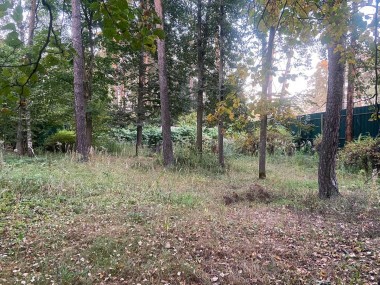 Купить участок - Новь ДПК - 58226