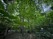Продажа участка Академические дачи 24 сотки Рублево-Успенское шоссе - foto2.jpg