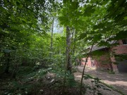 Продажа участка Академические дачи 24 сотки Рублево-Успенское шоссе - foto3.jpg