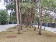 Продажа участка Никольская слобода 53 сотки Новорижское шоссе - foto2