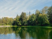 Продажа участка Успенские Дачи-1 УПДП 12 соток Рублево-Успенское шоссе - foto3