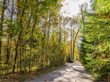 Продажа участка Николина Поляна 10 соток Ильинское шоссе - Успенские Дачи-1 УПДП - 58835