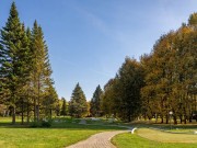 Продажа участка Пансионат Петрово-Дальнее 25 соток Ильинское шоссе - foto3