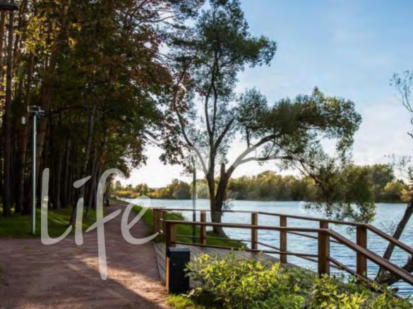 Продажа участка Раздоры 180 соток Рублево-Успенское шоссе - foto1