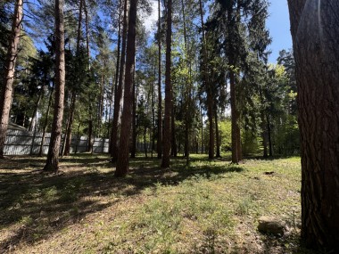 Продажа участка Любушкин Хутор 63 сотки Рублево-Успенское шоссе - Успенские Дачи-1 УПДП - 58948