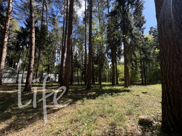 Продажа участка Успенские Дачи-1 УПДП 80 соток Рублево-Успенское шоссе - foto1