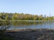 Продажа участка Батюшково 1130 соток Дмитровское шоссе - foto3.jpg