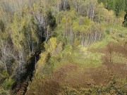 Продажа участка Батюшково 1130 соток Дмитровское шоссе - foto6.jpg