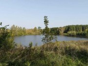 Продажа участка Батюшково 1130 соток Дмитровское шоссе - foto7.jpg