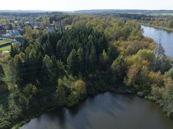 Продажа участка Батюшково 1130 соток Дмитровское шоссе - foto1.jpg