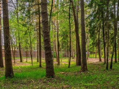 Купить участок - Маслово - 59010