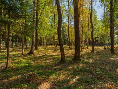 Купить участок - Зеленые холмы - 59040