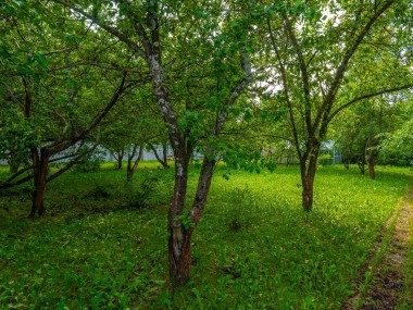 Купить участок - Согласие - 59070