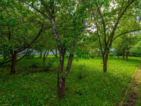 Продажа участка Согласие 15 соток Калужское шоссе - foto1.jpg