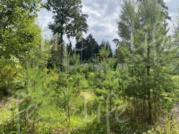 Продажа участка Горки-7 62 сотки Пятницкое шоссе - 619376