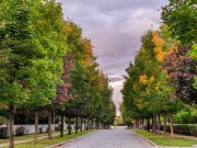 Продажа участка Резиденции Бенилюкс 20 соток Новорижское шоссе - 623831