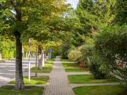 Продажа участка Резиденции Бенилюкс 20 соток Новорижское шоссе - 623832