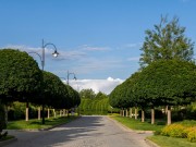 Продажа участка Гринфилд 18 соток Новорижское шоссе - 624328