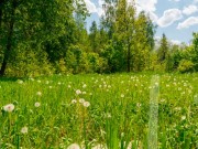 Продажа участка Президент 15 соток Калужское шоссе - 626114