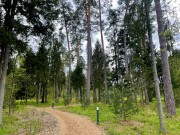 Продажа участка РАНИС 32 сотки Рублево-Успенское шоссе - 626916