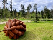 Продажа участка РАНИС 32 сотки Рублево-Успенское шоссе - 626918