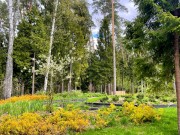 Продажа участка РАНИС 32 сотки Рублево-Успенское шоссе - 626920