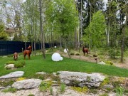 Продажа участка РАНИС 32 сотки Рублево-Успенское шоссе - 626921