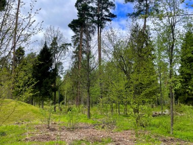 Продажа участков Рублево-Успенское - РАНИС - 59317