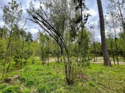 Продажа участка РАНИС 21 сотка Рублево-Успенское шоссе - 626927