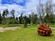 Продажа участка РАНИС 21 сотка Рублево-Успенское шоссе - 626931