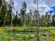 Продажа участка РАНИС 21 сотка Рублево-Успенское шоссе - 626934