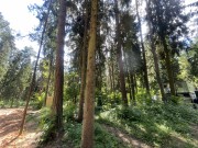 Продажа участка РАНИС 21 сотка Рублево-Успенское шоссе - 646846