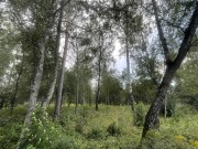 Продажа участка Раздоры 23 сотки Рублево-Успенское шоссе - 626943