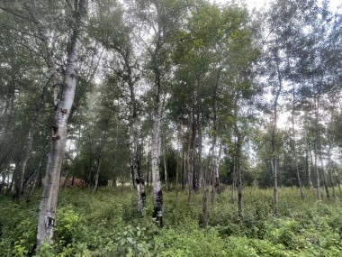 Продажа участков Рублево-Успенское - Раздоры - 59319