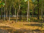 Продажа участка Зеленые холмы 11 соток Киевское шоссе - foto4