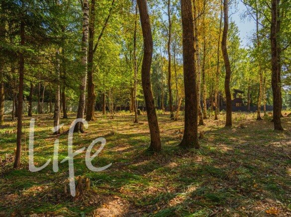 Продажа участка Зеленые холмы 11 соток Киевское шоссе - foto1