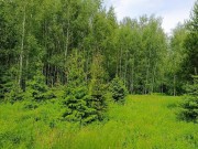 Продажа участка Согласие 2 32 сотки Калужское шоссе - 627113