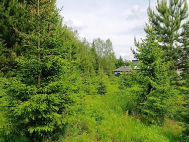 Продажа участков Калужское - Согласие 2 - 59327