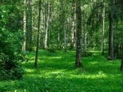 Продажа участка Дарьино 100 соток Рублево-Успенское шоссе - 627908